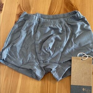 Kyte Baby Blue undies gray 3T